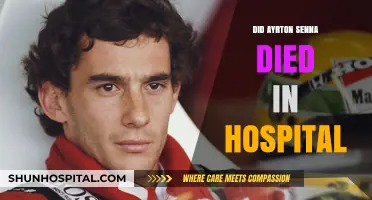 The Tragic End of a Racing Legend: Ayrton Senna's Final Moments
