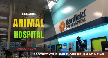Did Banfield Animal Hospital Meet Pet Owners' Expectations? A Review