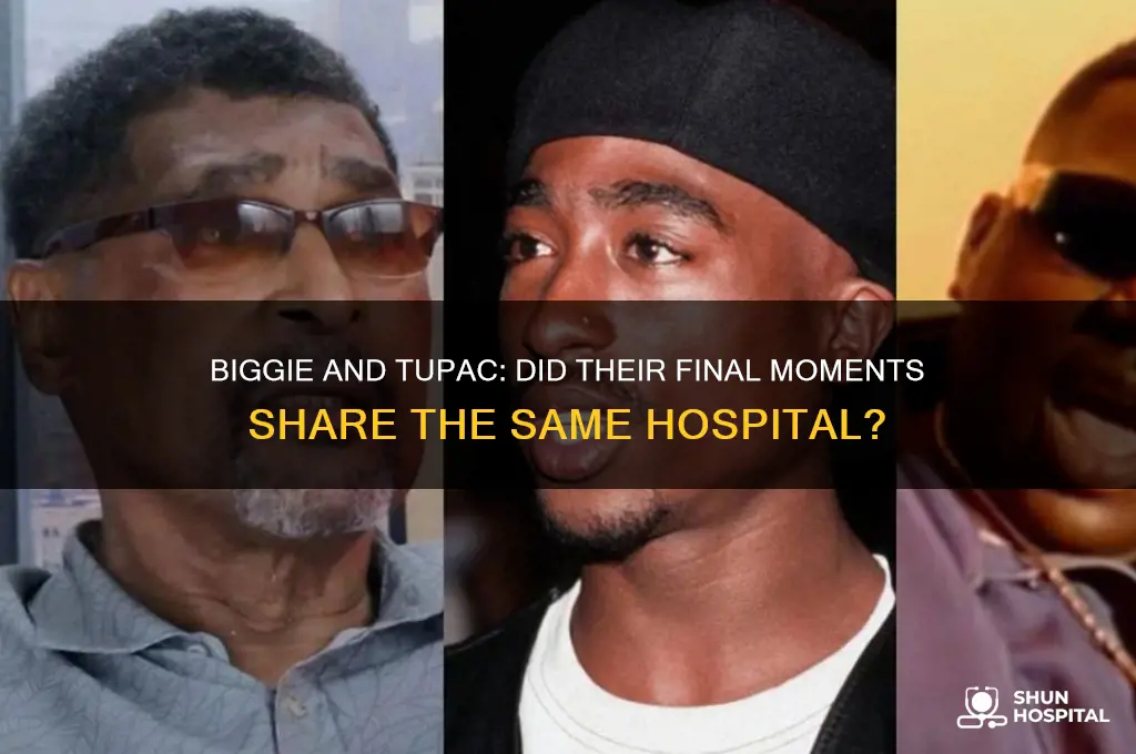 did biggie and tupac die in the same hospital