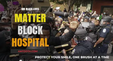 Examining the Impact of Black Lives Matter Protests on Hospital Access