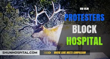 Did BLM Protesters Block Hospital Access? Separating Fact from Fiction