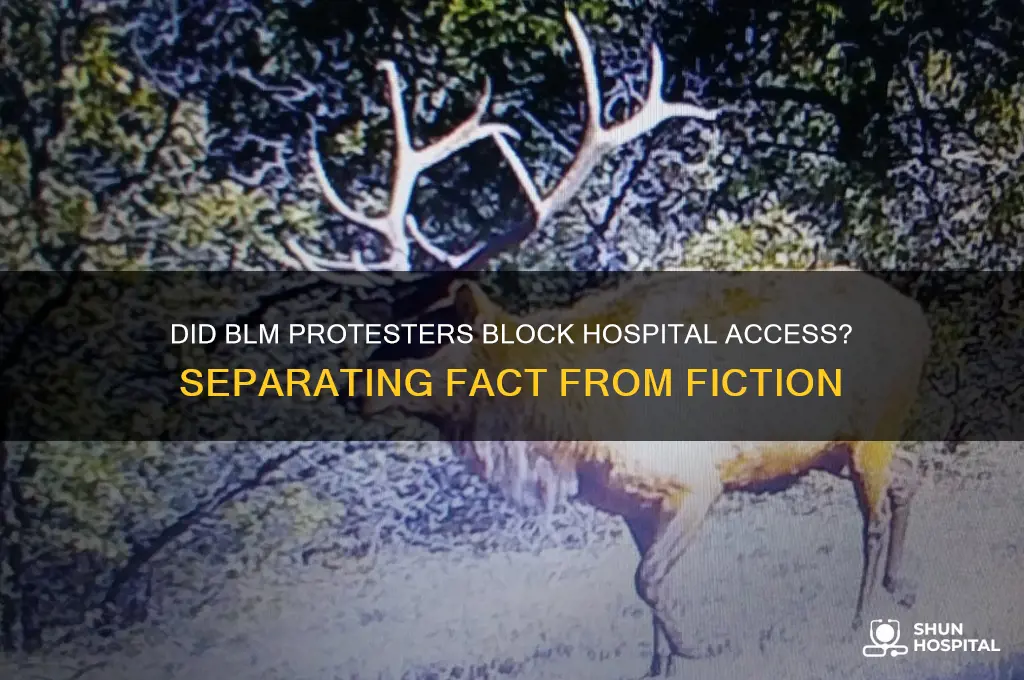 did blm protesters block hospital