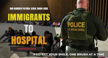 Border Patrol's Role in Hospitalizing 2000 Immigrants: Fact or Fiction?