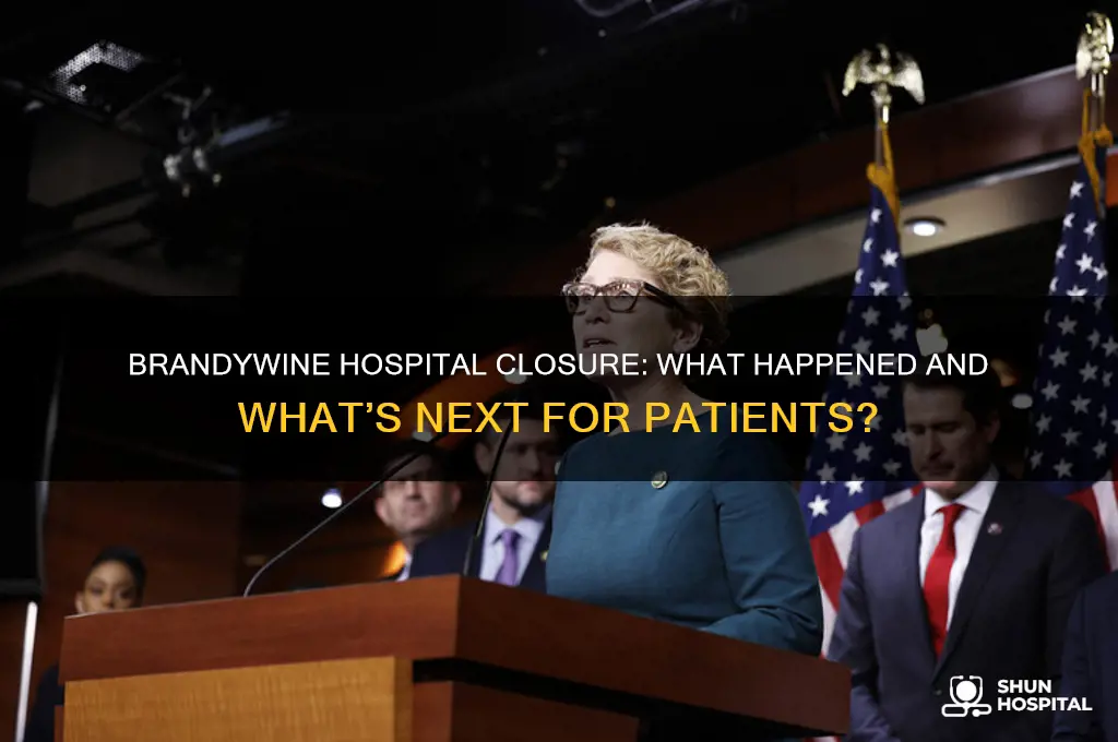 did brandywine hospital close