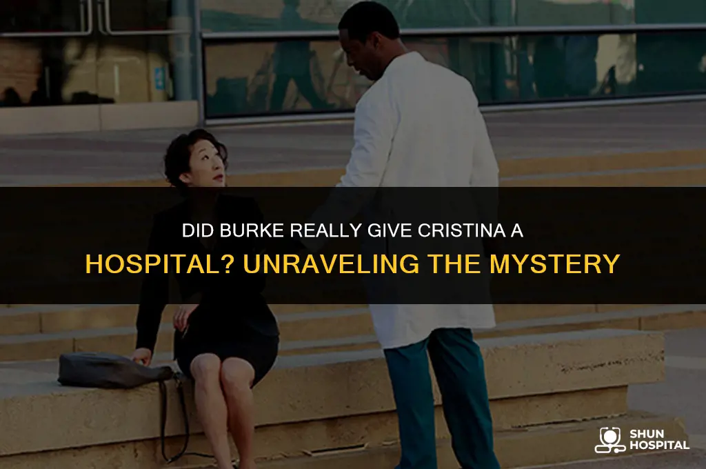 did burke give cristina a hospital