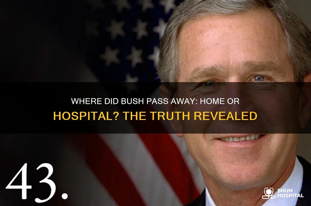 did bush die at home or in the hospital