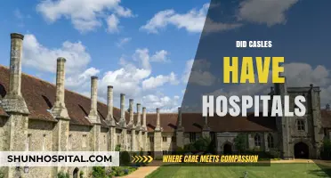 Medieval Castles and Healthcare: Did They Include Hospitals?
