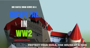 Castle Bran's WWII Role: Hospital or Historical Myth?