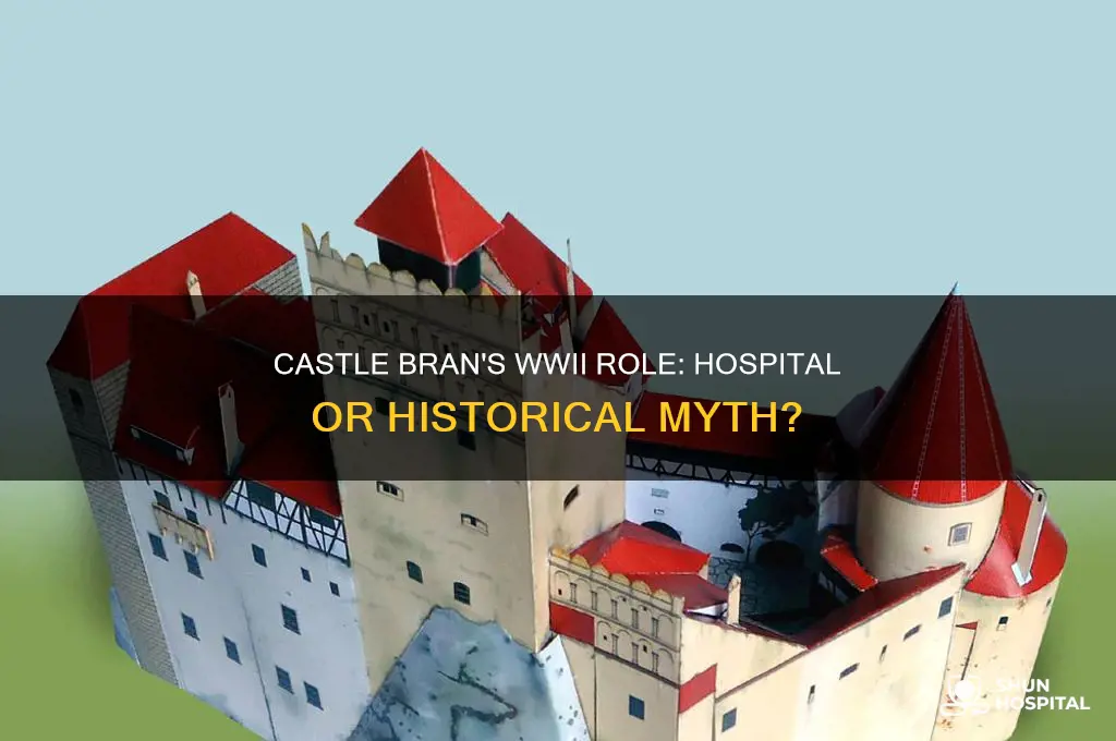 did castle bran serve as a hospital in ww2
