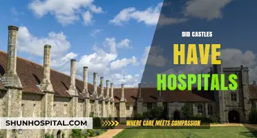 Medieval Castles and Healthcare: Did They Include Hospitals?