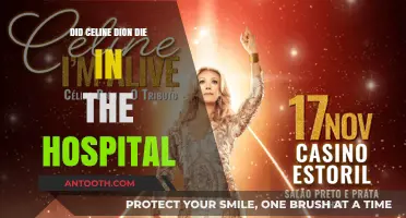 Celine Dion: Hospitalization and Death Rumors Explained