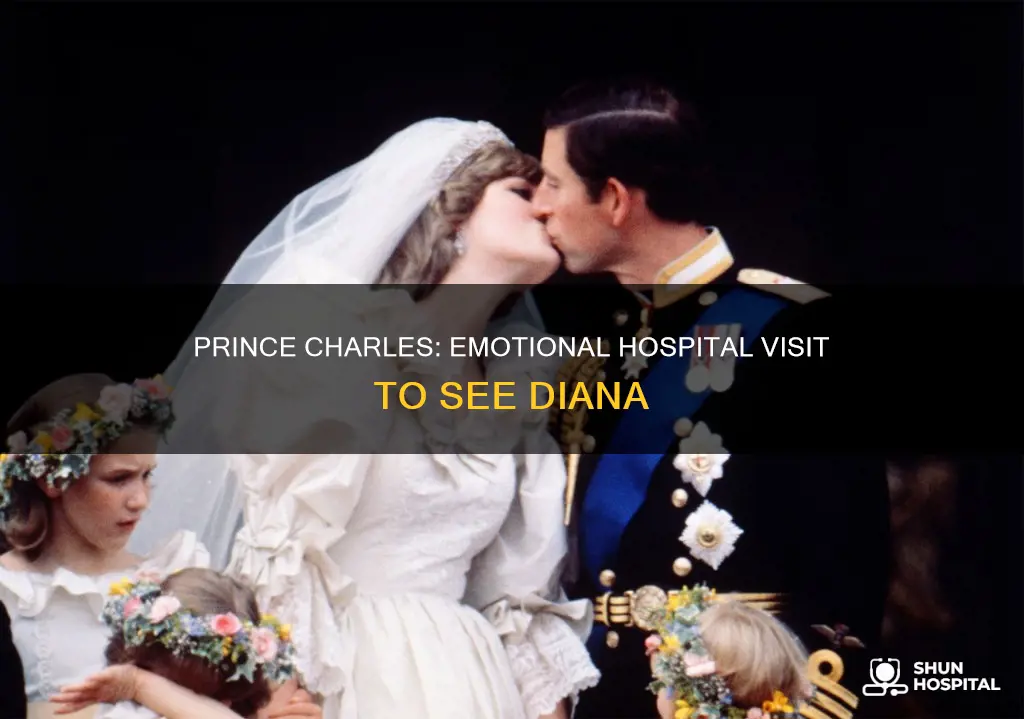 did charles cry at the hospital diana