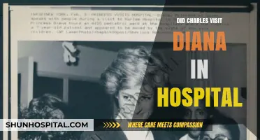 Charles' Hospital Visit to Diana: A Look Back at the Event
