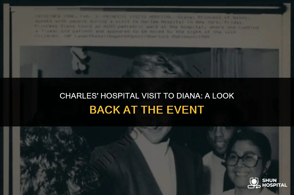 did charles visit diana in hospital