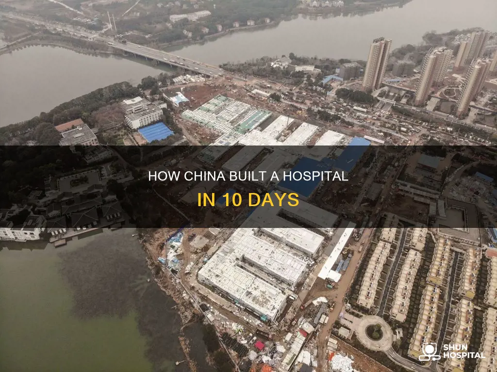did china build hospital in 10 days