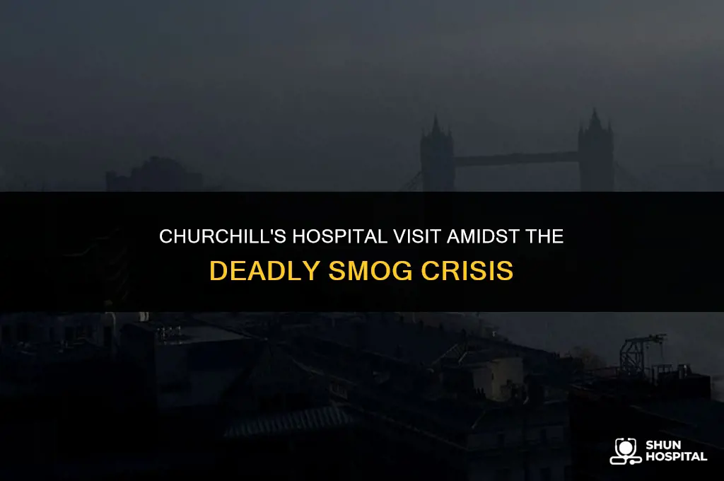 did churchill visit hospital during smog