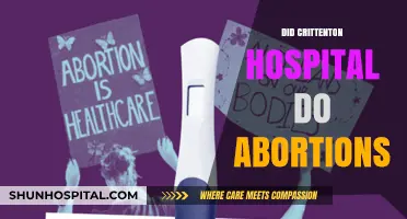 Crittenton Hospital's Abortion Services: Facts, History, and Controversies Explained