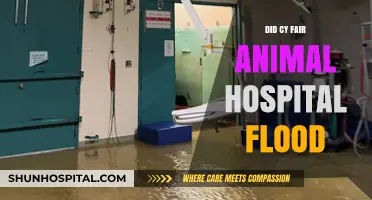 Did Cy Fair Animal Hospital Flood? Facts and Updates
