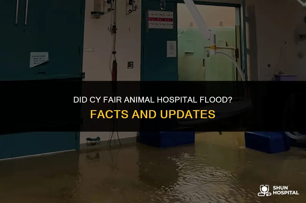 did cy fair animal hospital flood