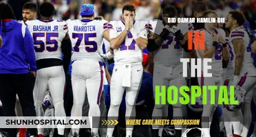Hamlin's Hospitalization: What Happened After the Terrifying Collision?