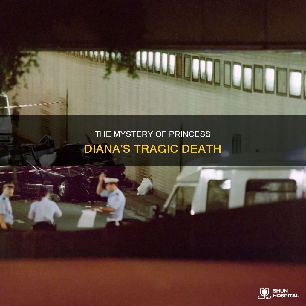 did diana died in car or hospital
