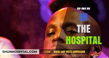 The Final Chapter: DMX's Tragic Passing in the Hospital