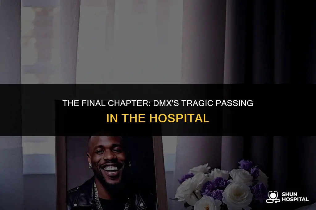 did dmx die in the hospital