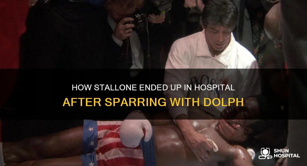 did dolph lundgren put stallone in hospital