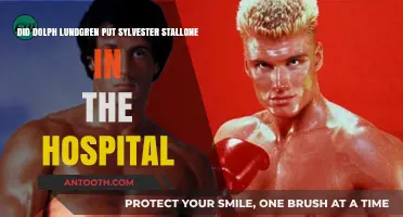 Did Dolph Lundgren's Punch Hospitalize Sylvester Stallone on Set?
