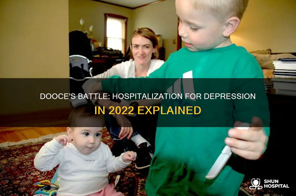 did dooce have to be hospitalized for depression last year