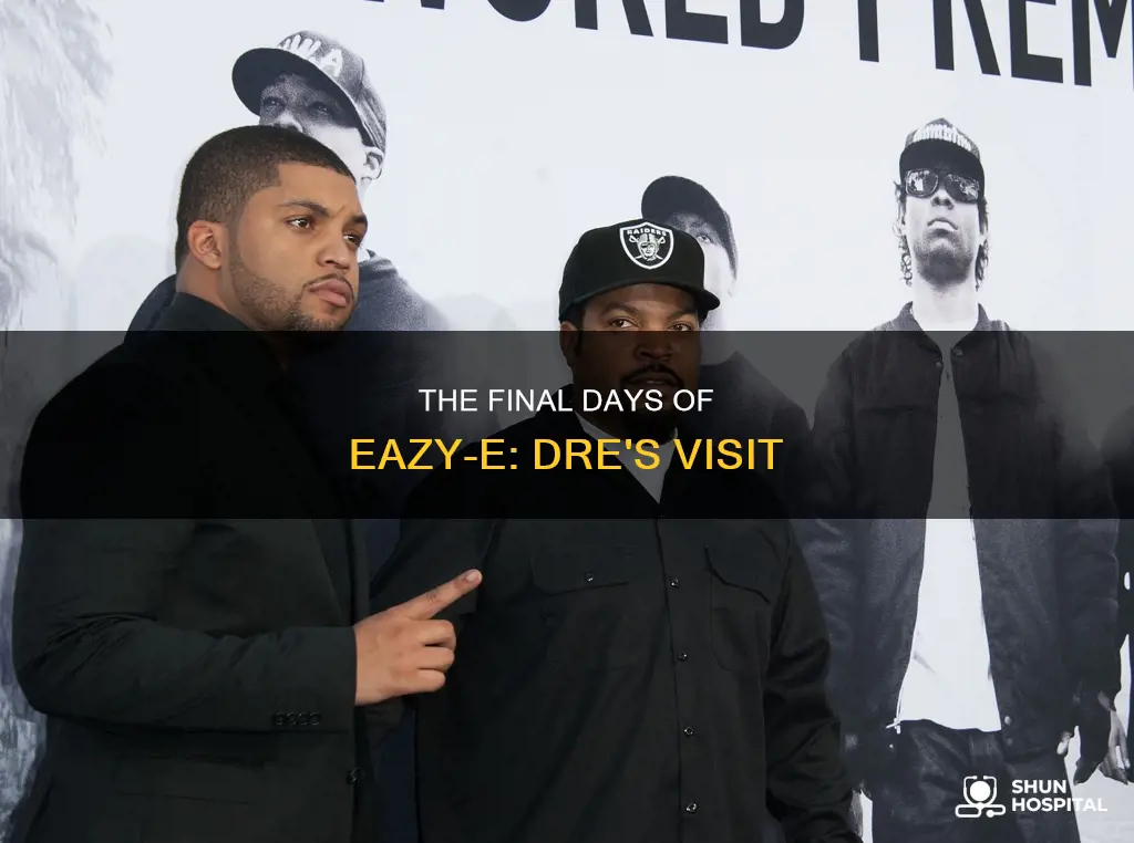 did dre visit eazy e in hospital
