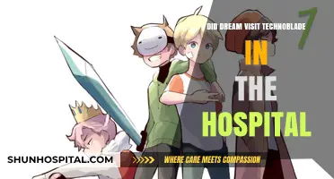 Dream's Hospital Visit: Did He See Techno?
