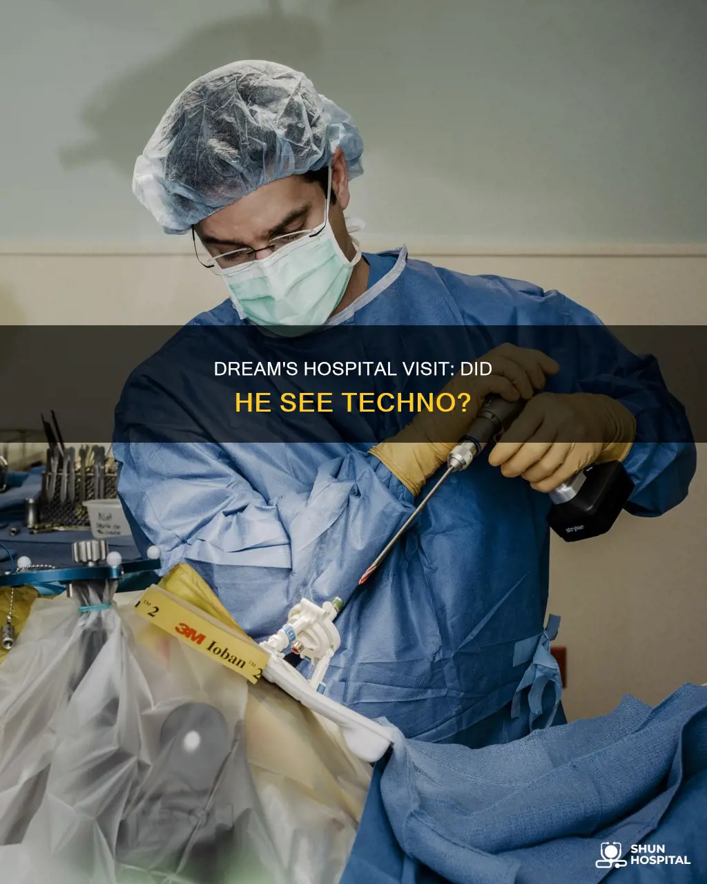 did dream visit technoblade in the hospital