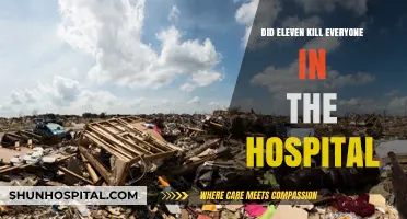 Did Eleven's Rampage End in a Hospital Massacre?