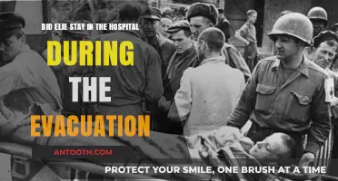 Elie's Hospital Stay During the Evacuation: Fact or Fiction?