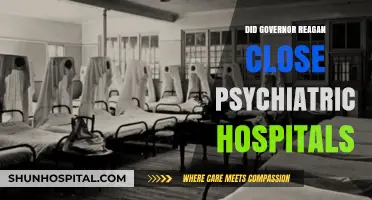 Reagan's Legacy: The Closure of Psychiatric Hospitals Revisited