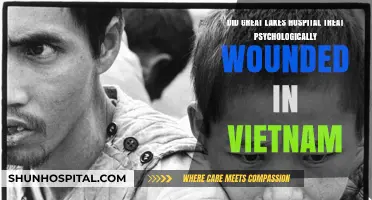 Great Lakes Hospital's Role in Healing Vietnam's Psychological Wounds