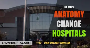 Exploring the Hospital Evolution in Grey's Anatomy: A Comprehensive Look