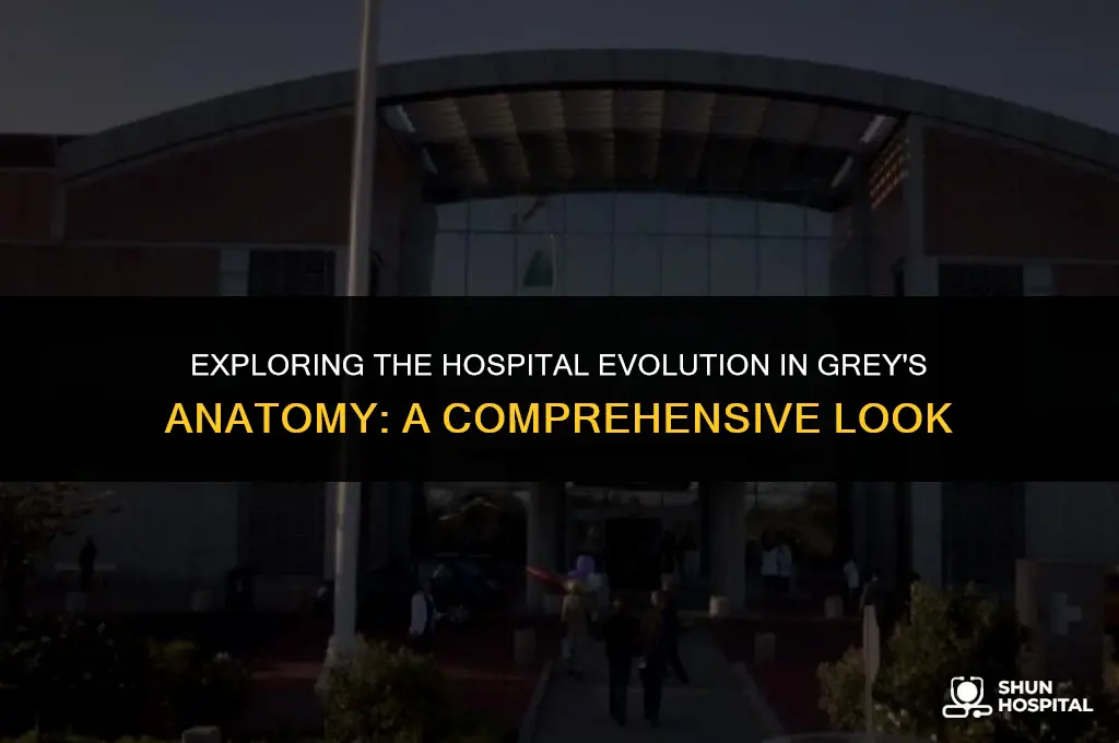 did grey