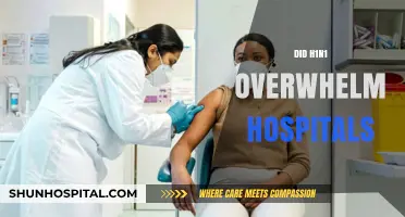 H1N1's Impact: Did the Pandemic Overwhelm Hospital Capacities?
