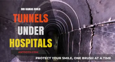 Unveiling the Truth: Hamas Tunnels and Hospitals in Gaza