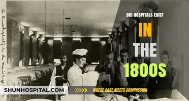 Exploring the Evolution of Healthcare: Did Hospitals Exist in the 1800s?