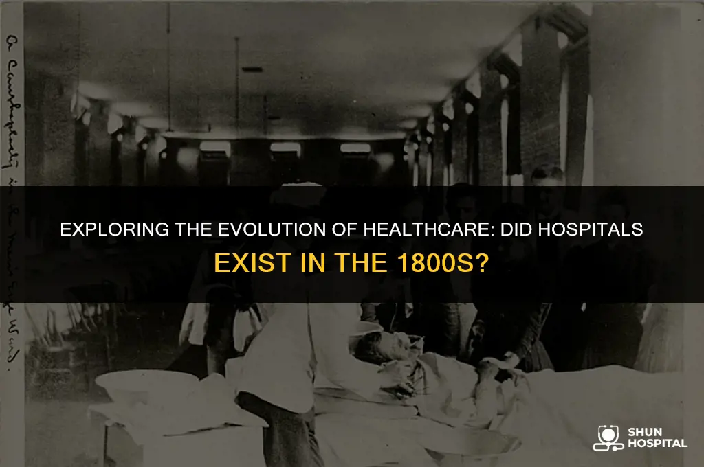 did hospitals exist in the 1800s