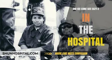 Ice Cube's Final Visit: Did He See Eazy-E in Hospital?