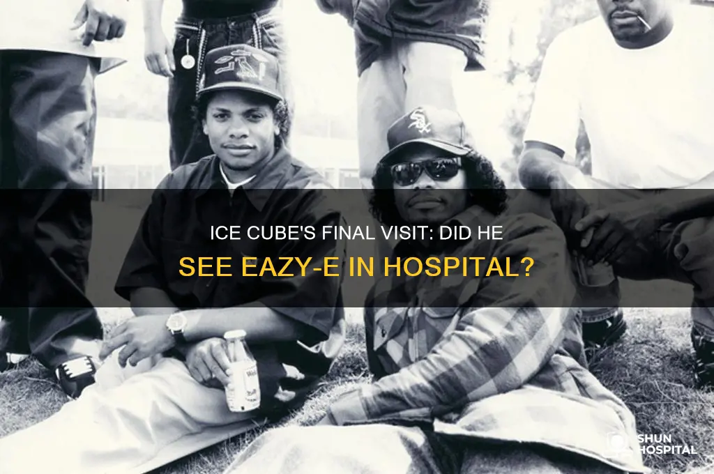 did ice cube see eazy-e in the hospital