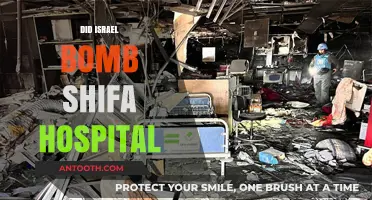 Israel's Shifa Hospital Bombing: Facts, Allegations, and Global Reactions