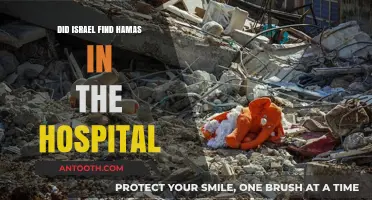 Israel's Hamas Hospital Hunt: Truth or Propaganda?