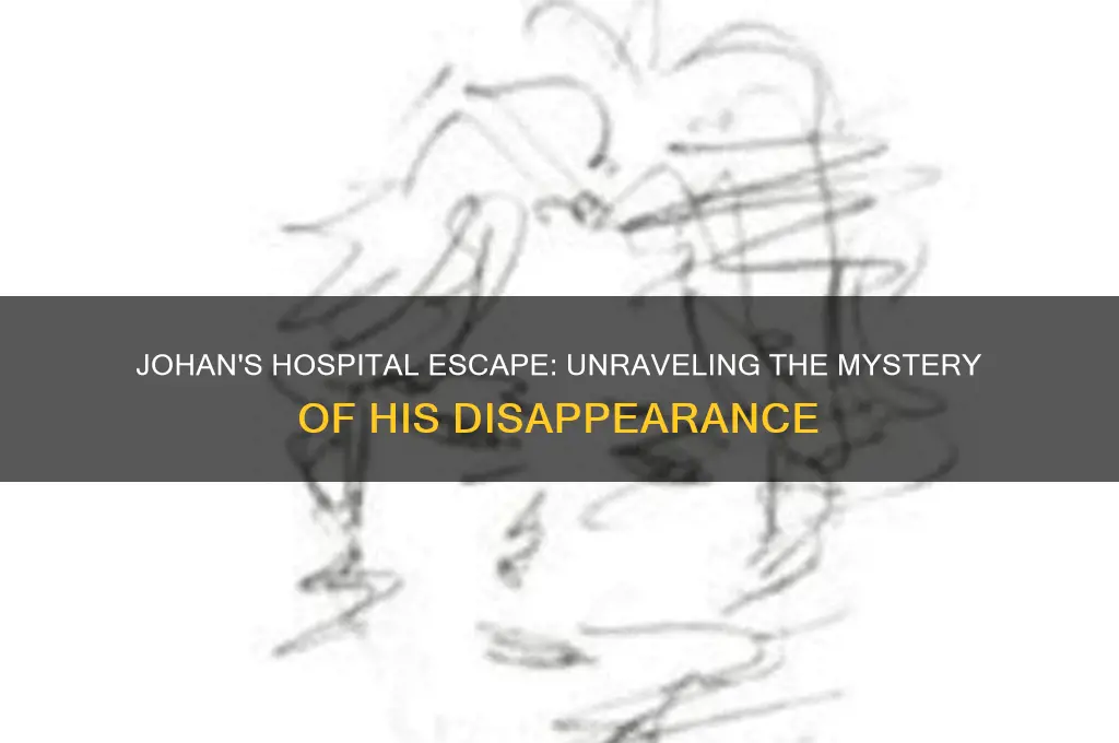 did johan escape the hospital