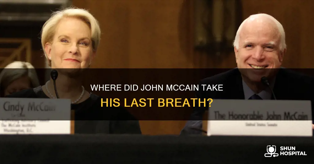 did john mccain die in a hospital