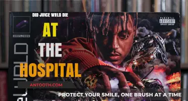 The Mystery of Juice Wrld's Untimely Death